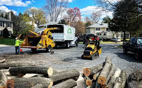 Best Artificial Turf Installation  in Shady Hollow, TX